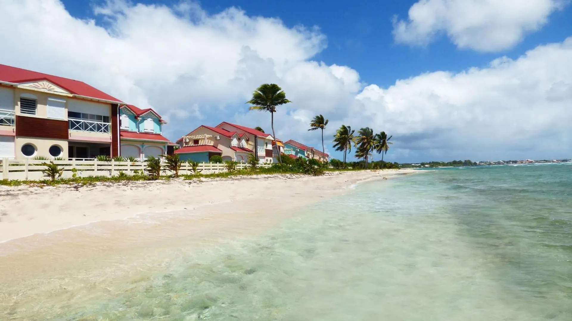 Le Mabuya De Crystal Beach Seze Gwadelupa